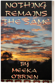 Nothing Remains the Same book cover
